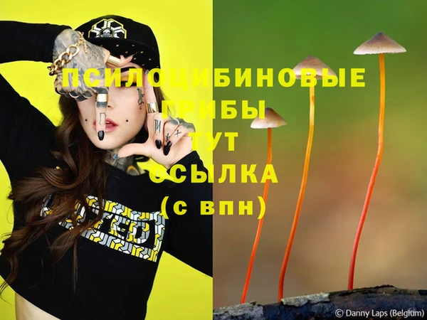 спайс Пересвет